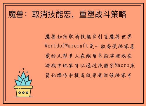 魔兽：取消技能宏，重塑战斗策略